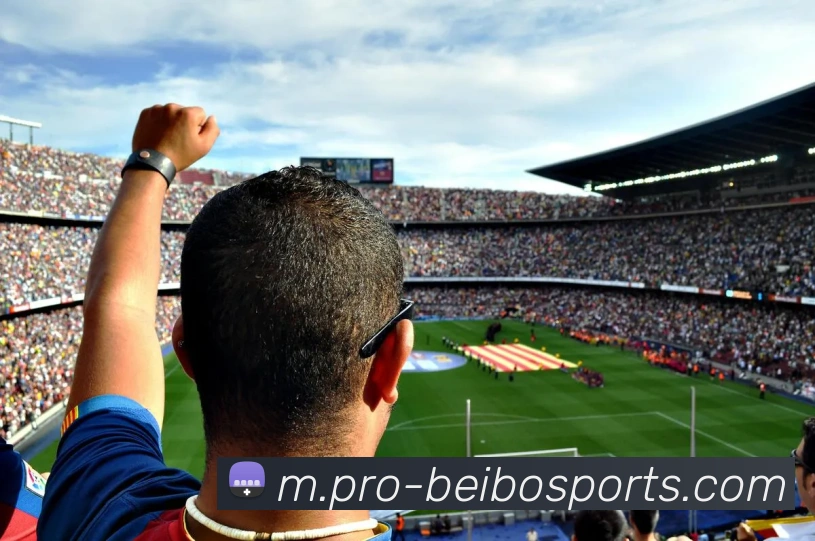 体育下注服务体系